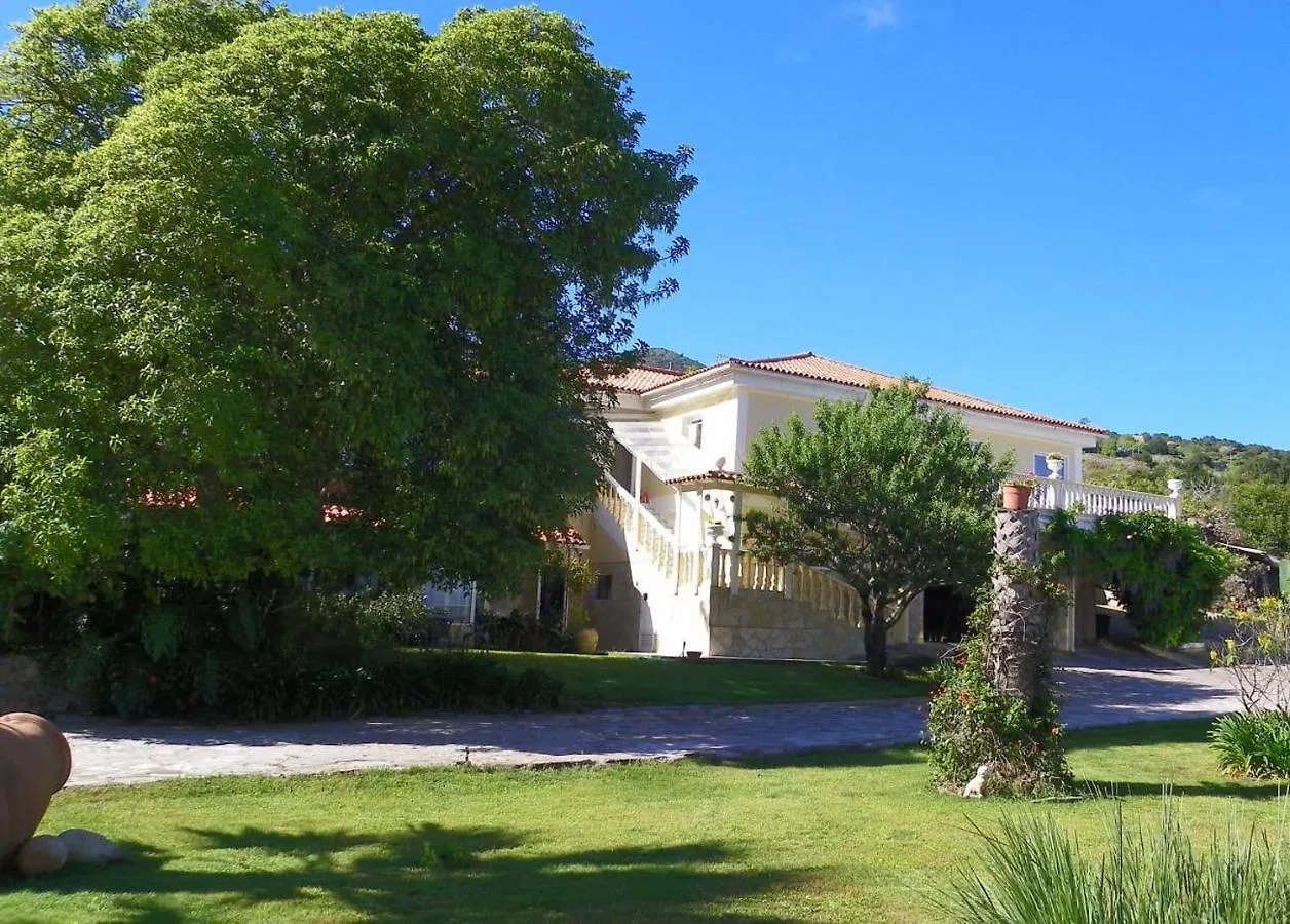 Appartamento Casa-Palo-Pique Icod De Los Vinos